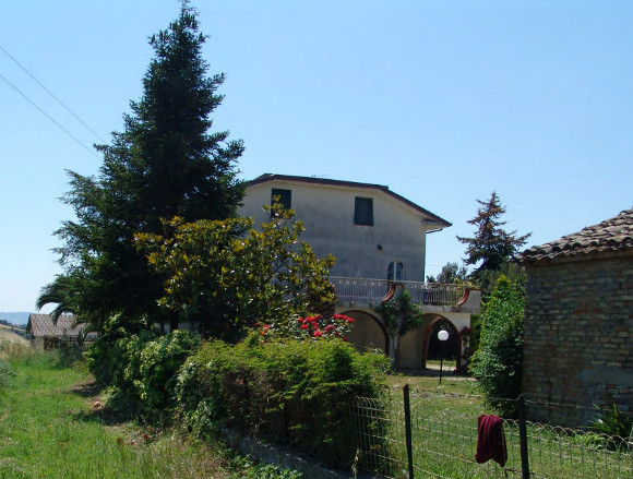 D'Angelo's Farm